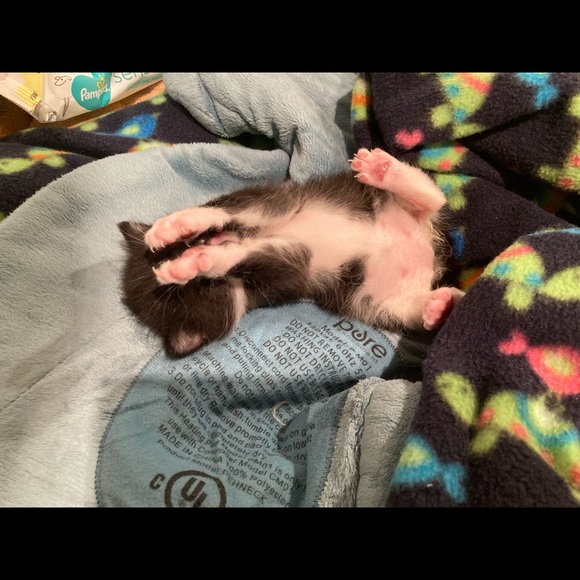 Meet your Posher, Boombilottie Finds - Picture 3 of 15